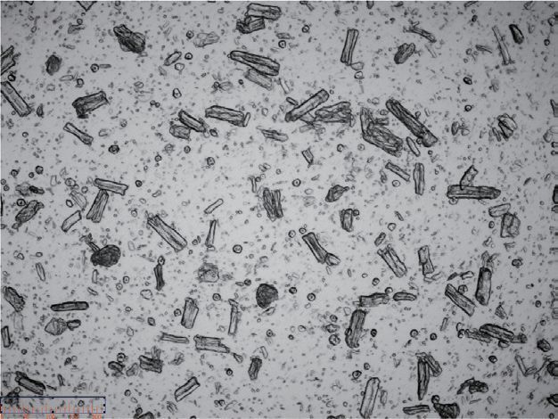 第6頁-15 第6頁-15